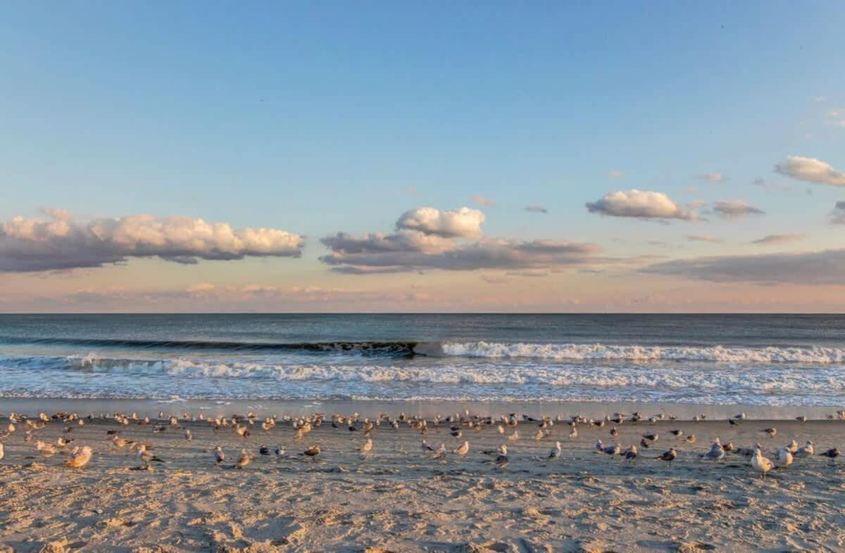 *Fresh Myrtle Beach Reno*Relax*Pools*Beach*More*T401 Extérieur photo